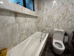 Tanglin Park (D10), Condominium #570170841
